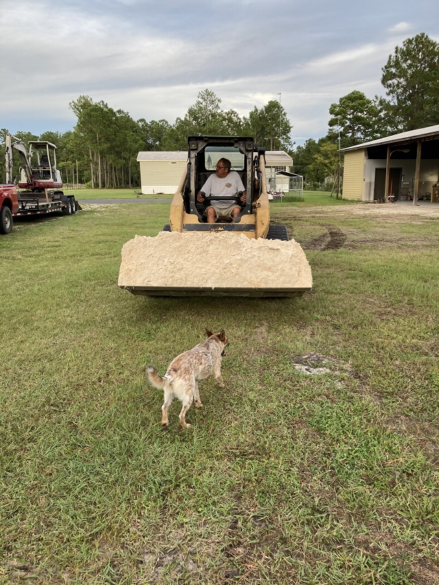 Skid Loader Work Keystone Heights - Middleburg - Palatka - Starke - Interlachen - Odom Ranch Land - Orange Park - Green Cove Springs - Jacksonville - Melrose, Florida