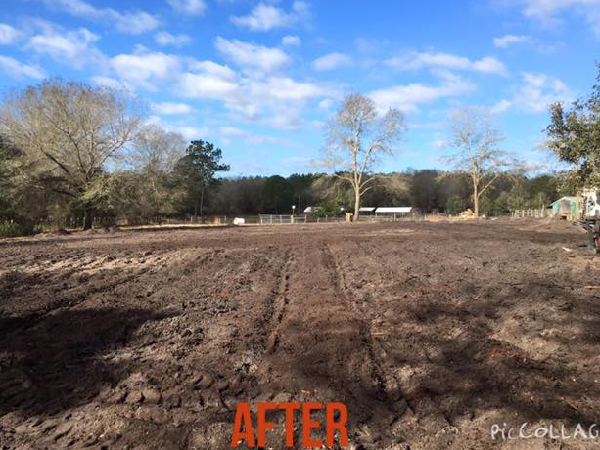 Stump Removal - Keystone Heights - Middleburg - St. Augustine - Gainesville - Starke - Palatka - Northeast Florida - Odom Ranch